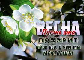 Открытка пусть эта весна подари тебе всё о чём мечтаешь