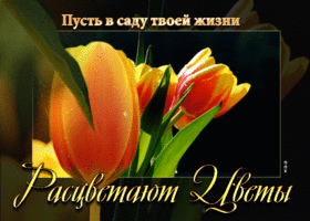 Открытка Пусть в саду твоей жизни расцветают цветы