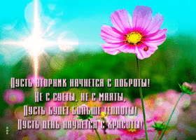 Открытка пусть вторник начнётся с доброты