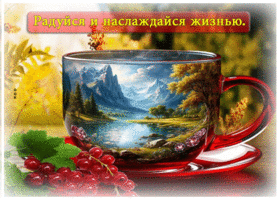 Открытка Радуйся и наслаждайся жизнью