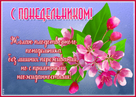 Открытка с понедельником, без лишних переживаний