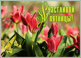 Открытка с пятницей с природой