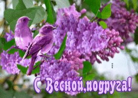 Открытка с весной подруге