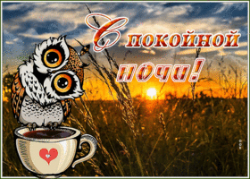 Открытка спокойной ночи с закатом