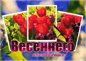 Открытка весеннего настроения с цветами. Улыбок и радости рядом всегда