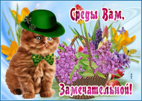 Открытка замечательной среды