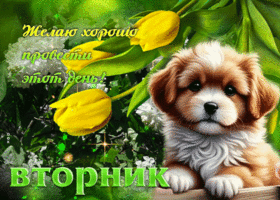 Открытка Желаю хорошо провести этот день! Вторник