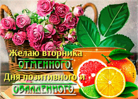 Открытка желаю вторника отменного, дня позитивного и обалденного