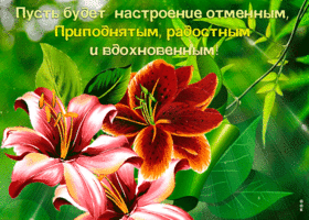 Отличного настроения на весь день