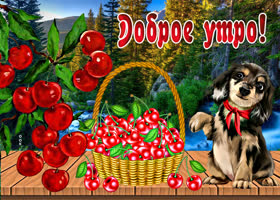 Отличная картинка с черешней Доброе утро!