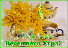 Отличная открытка Доброго весеннего утра! С мимозой