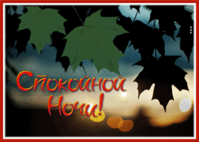 Отличная открытка с листвой Спокойной ночи!