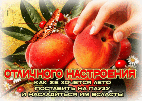 Отличного настроения! Как же хочется поставить лето на паузу