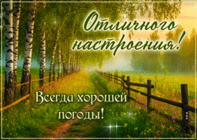 Отличного настроения! Всегда хорошей погоды