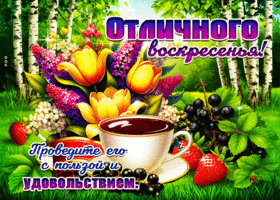 Отличного воскресенья! Проведи его с пользой и удовольствием