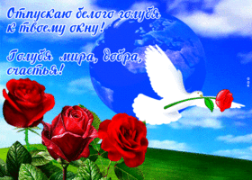 Отпускаю белого голубя мира, добра и счастья к твоему окну