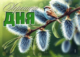 Пастельная и спокойная весенняя гиф-открытка Хорошего дня