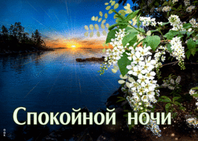 Первоклассная открытка Спокойной ночи! С природой