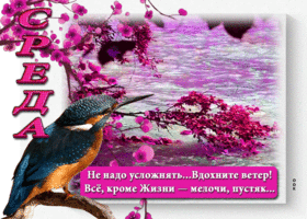 Поэтичная гиф-открытка Среда! Все, кроме жизни - мелочи, пустяк