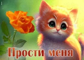 Поразительная открытка с котиком и розой Прости меня
