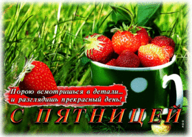 Порою всмотришься в детали и разглядишь прекрасный день! С пятницей