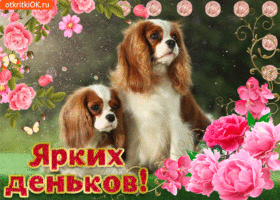 Пожелания ярких дней