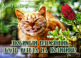 Позитивная открытка племяннику