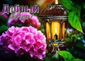 Прекрасная цветочная гиф-открытка Добрый вечер