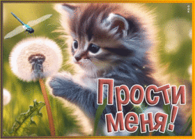 Прекрасная открытка Прости меня