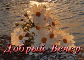Прекрасная и яркая гиф-открытка Добрый вечер