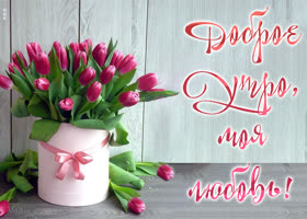 Прекрасная и яркая открытка Доброе утро, моя любовь