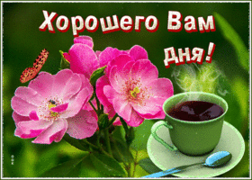 Прекрасная картинка хорошего дня