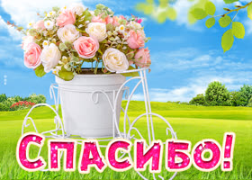 Прекрасная картинка спасибо с цветами в поле
