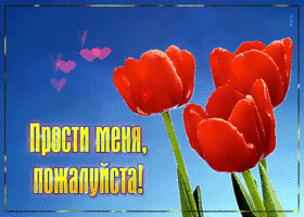 Прекрасная открытка прости меня, пожалуйста