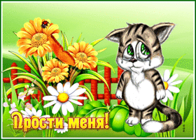 Прекрасная открытка Прости меня! С плачущим котом