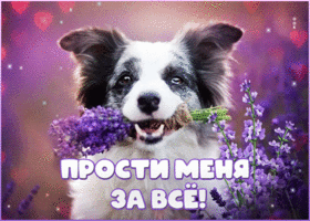 Прекрасная открытка Прости меня за все! С песиком с цветами
