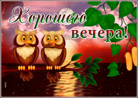 Прекрасная открытка с совами Хорошего вечера