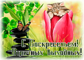 Прекрасная открытка с воскресеньем, отличных выходных