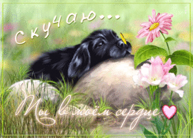 Прекрасная открытка Скучаю! Ты в моем сердце