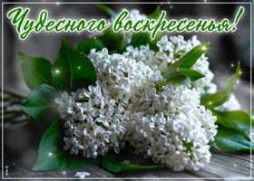 Прекрасная, вдохновляющая весенняя открытка Чудесного воскресенья