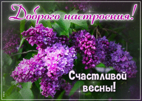 Прекрасная весенняя гиф-открытка Доброго настроения! Счастливой весны