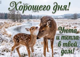 Прекрасного дня. Гармонии, приятных моментов и хороших новостей.