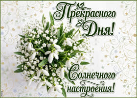 Прекрасного дня и солнечного настроения