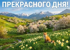 Прекрасного дня! Пусть он принесёт радость и успех
