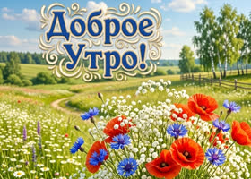 Прекрасного летнего утречка