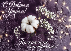 Прекрасного настроения этим утром