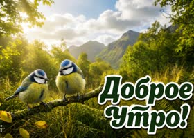 Прекрасного утра! Пусть пение птиц порадует