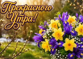 Прекрасного весеннего утра