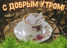 Прелестная картинка доброе утро. Добрых дней впереди