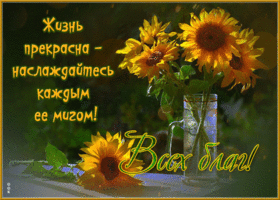 Прелестная открытка с подсолнухами Всех благ!